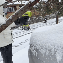 SEESE PRO™ – Ultralätt och Kraftfull Blåsare
