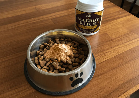 iHeartDogs Honey Guard Allergy & Itch Powder