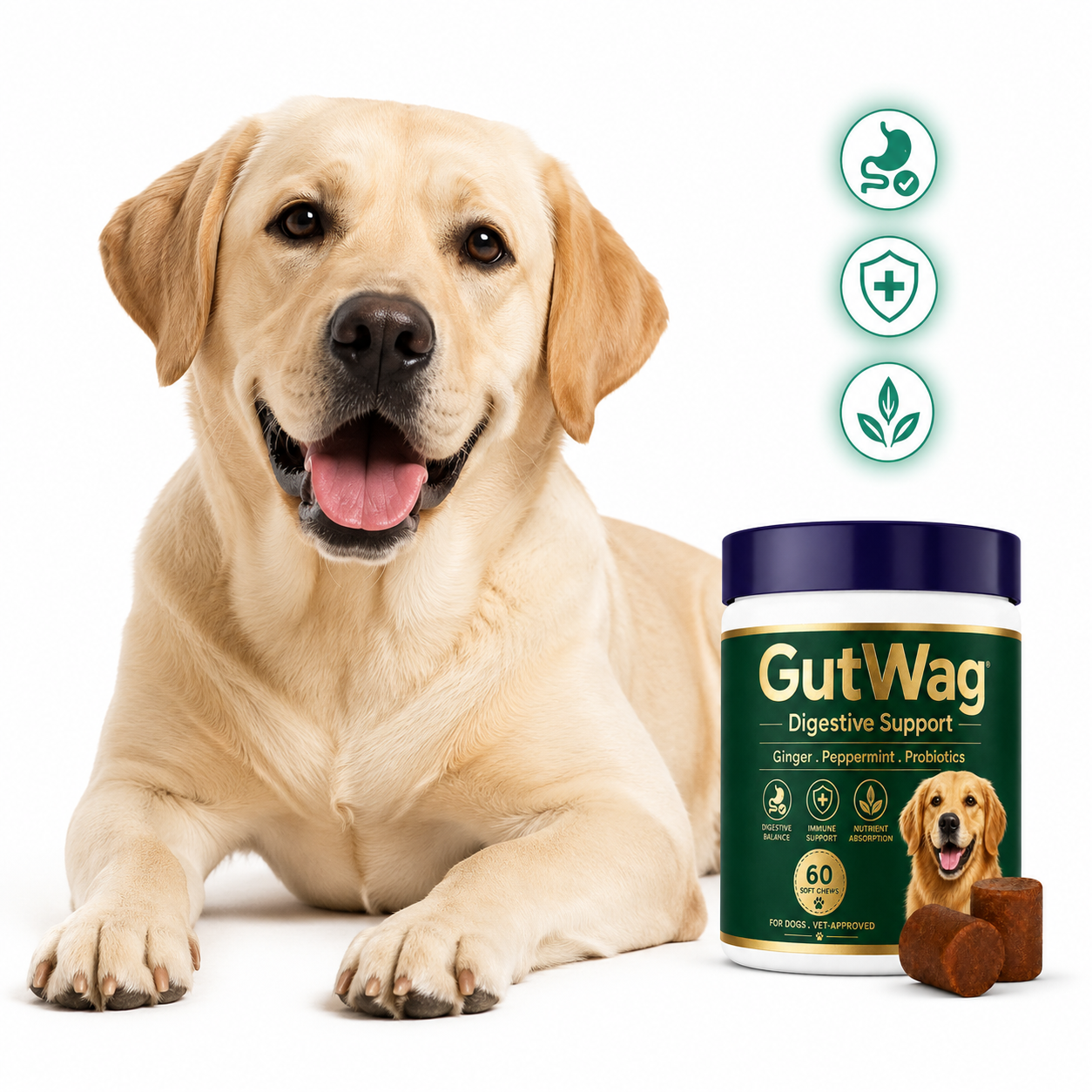 GutWag Digestive Chews
