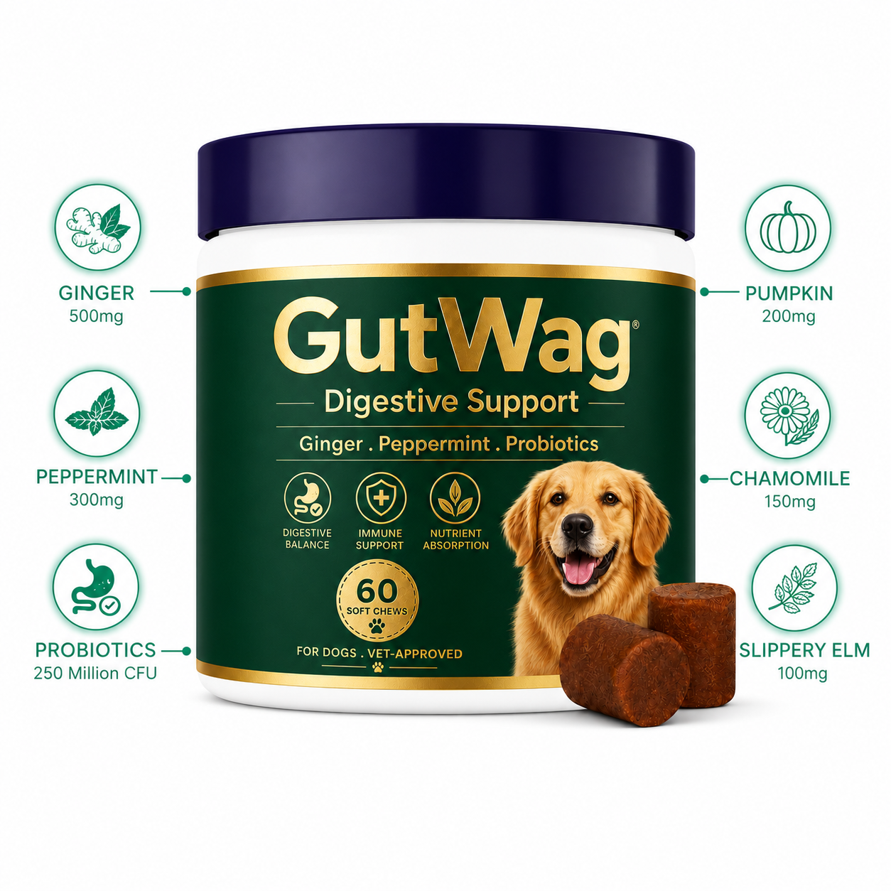 GutWag Digestive Chews